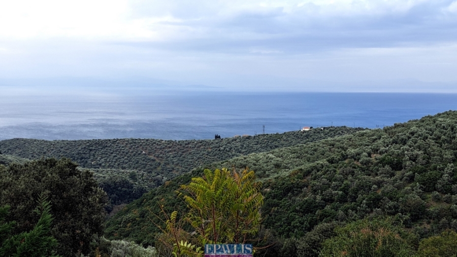 Πώληση κατοικίας, Θεσσαλία, Ν. Μαγνησίας, Πήλιο-Αφέτες, #1748372, μεσιτικό γραφείο Epavlis Realtors.