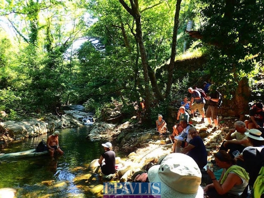 Πώληση κατοικίας, Θεσσαλία, Ν. Μαγνησίας, Πήλιο-Αφέτες, #1748372, μεσιτικό γραφείο Epavlis Realtors.