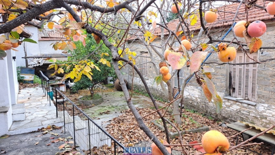 Πώληση κατοικίας, Θεσσαλία, Ν. Μαγνησίας, Πήλιο-Αφέτες, #1748372, μεσιτικό γραφείο Epavlis Realtors.