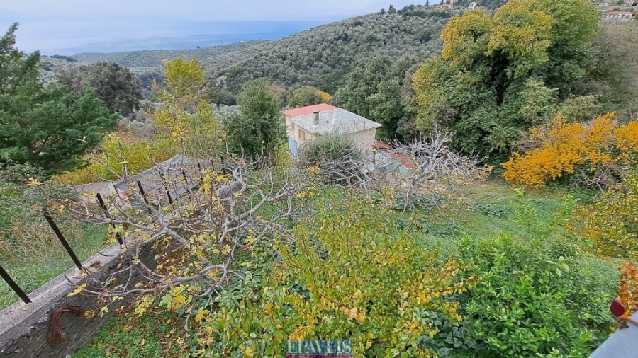 Πώληση κατοικίας, Θεσσαλία, Ν. Μαγνησίας, Πήλιο-Αφέτες, #1748372, μεσιτικό γραφείο Epavlis Realtors.