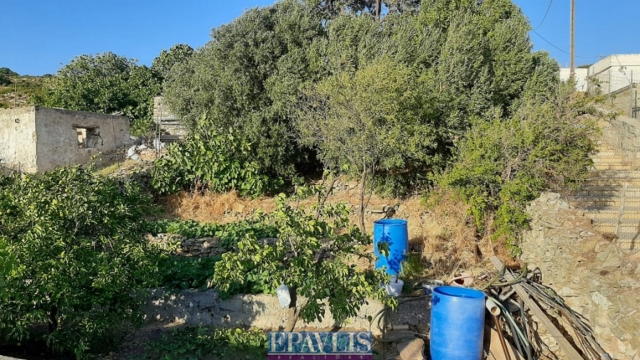 Πώληση κατοικίας, Νότιο Αιγαίο, Δωδεκάνησα, Αγαθονήσι, #1753196, μεσιτικό γραφείο Epavlis Realtors.