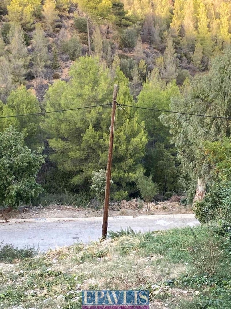 Πώληση οικοπέδου, Αττική, Ανατολική Αττική, Ραφήνα, Καλλιτεχνούπολη, #1764967, μεσιτικό γραφείο Epavlis Realtors.