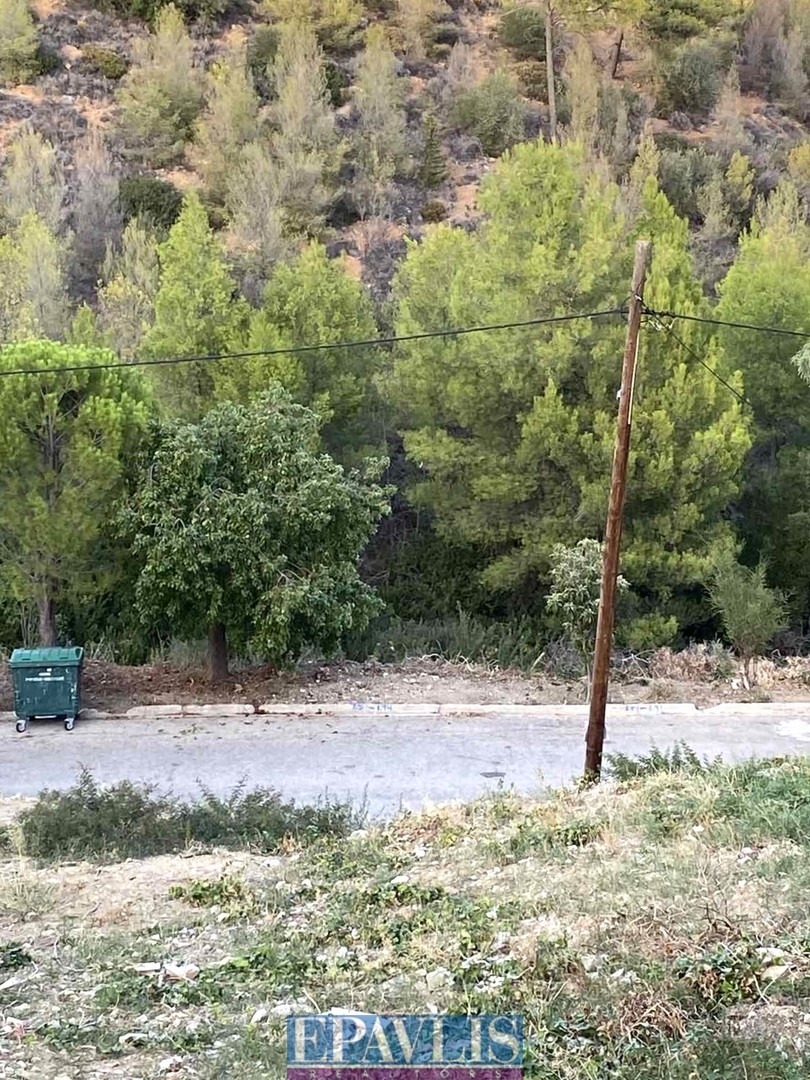 Πώληση οικοπέδου, Αττική, Ανατολική Αττική, Ραφήνα, Καλλιτεχνούπολη, #1764967, μεσιτικό γραφείο Epavlis Realtors.