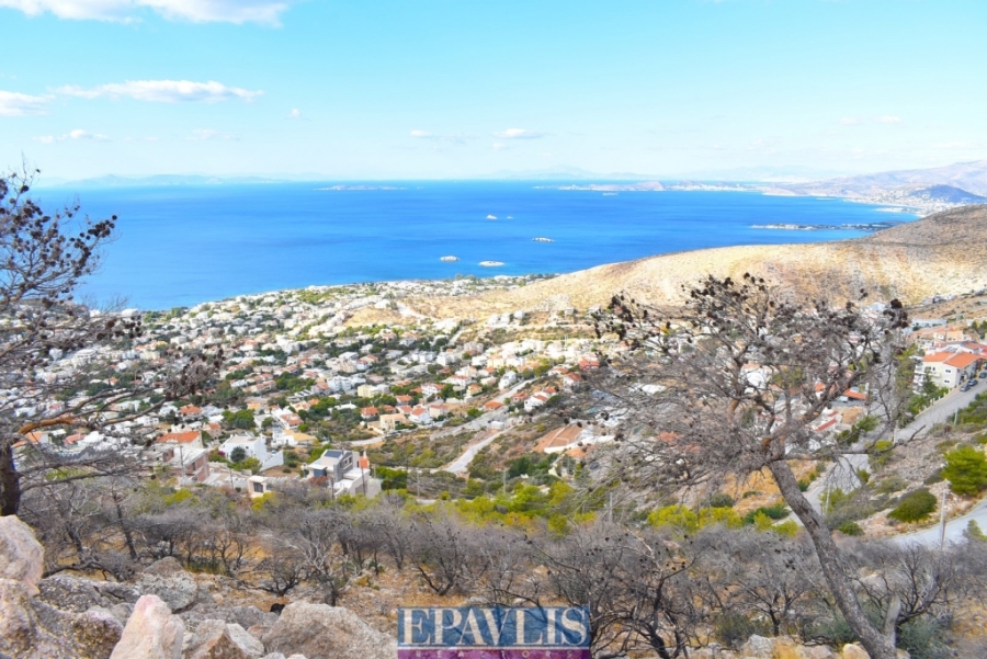 Πώληση οικοπέδου, Αττική, Ανατολική Αττική, Σαρωνίδα, #1210009, μεσιτικό γραφείο Epavlis Realtors.