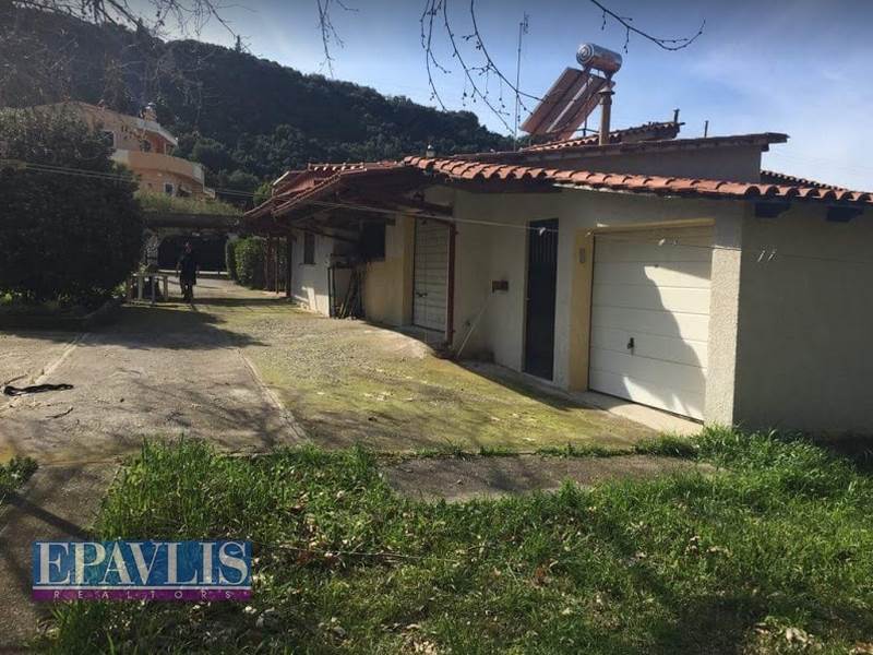 Πώληση κατοικίας, Πελοπόννησος, Ν. Αχαϊας, Μεσατίδα, #757915, μεσιτικό γραφείο Epavlis Realtors.